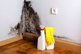 Best Comprehensive Air Testing for Mold Contaminants in Basking Ridge, NJ